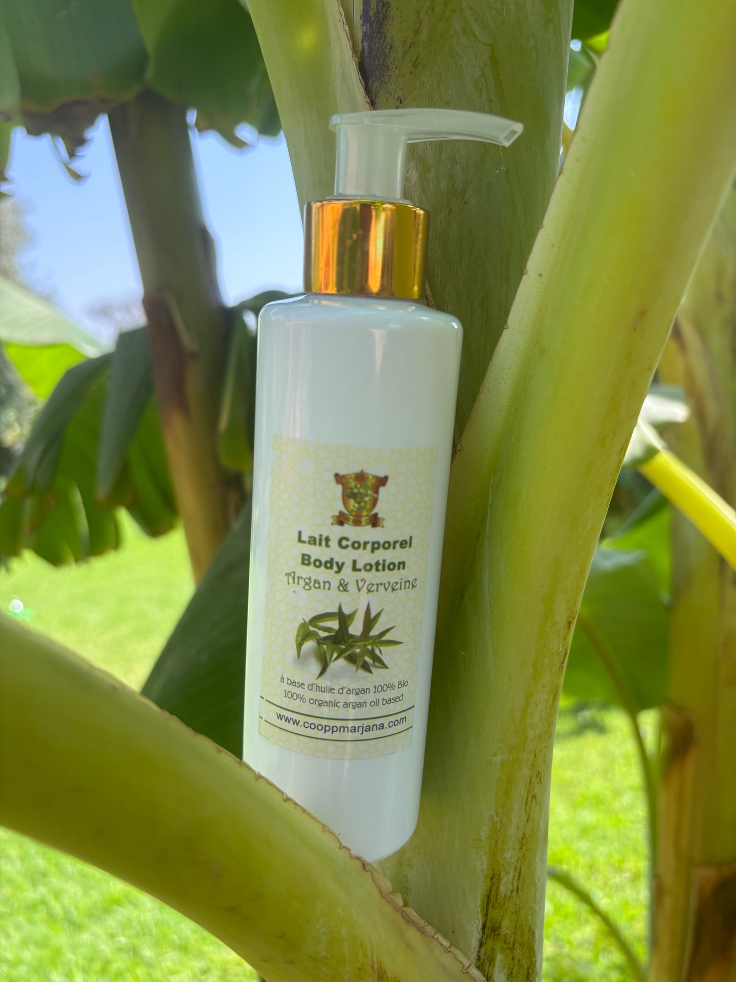 Crème corps biologique